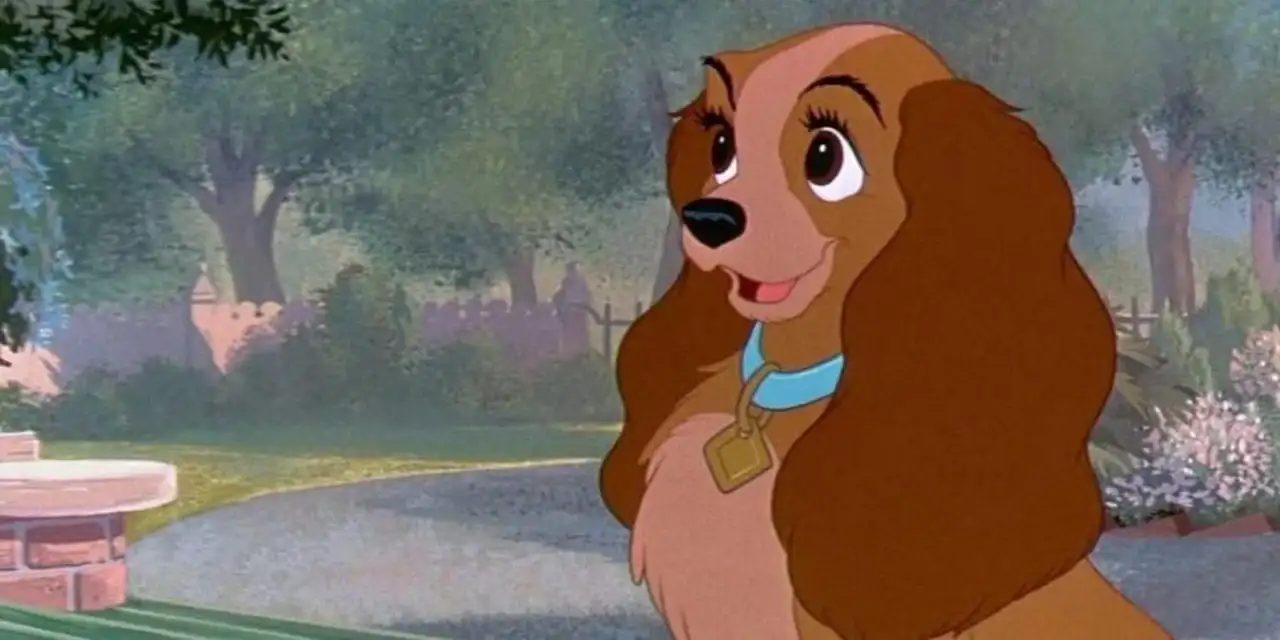 lady shows off her new collar on lady and the tramp