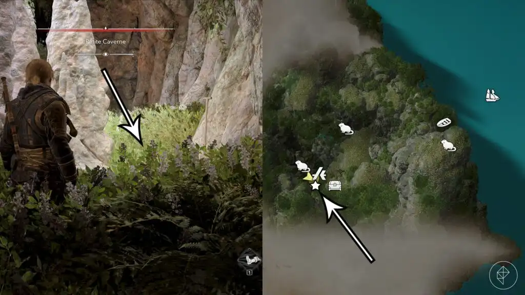 Cayman Sound optimized